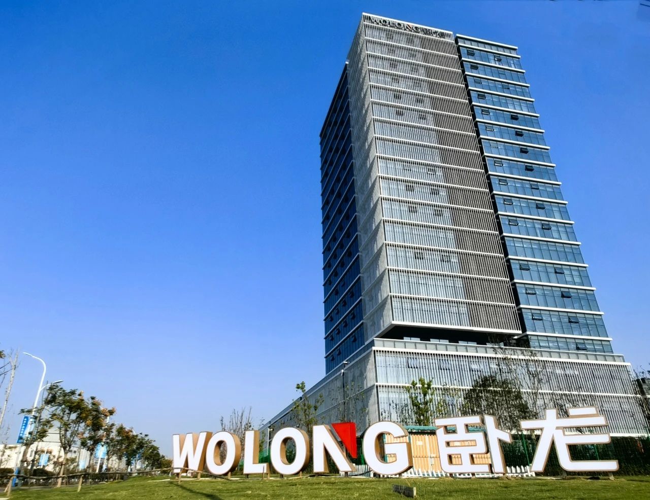 龙能电力并入卧龙新能源集团，开启绿色能源新征程